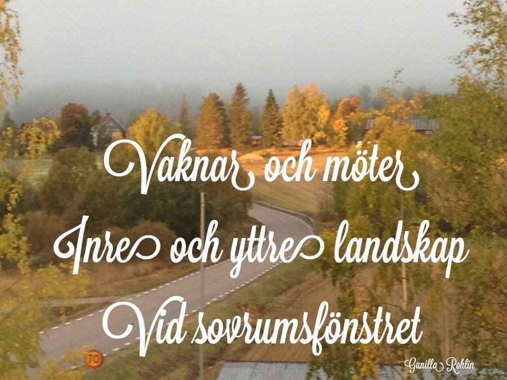 Dagens haiku