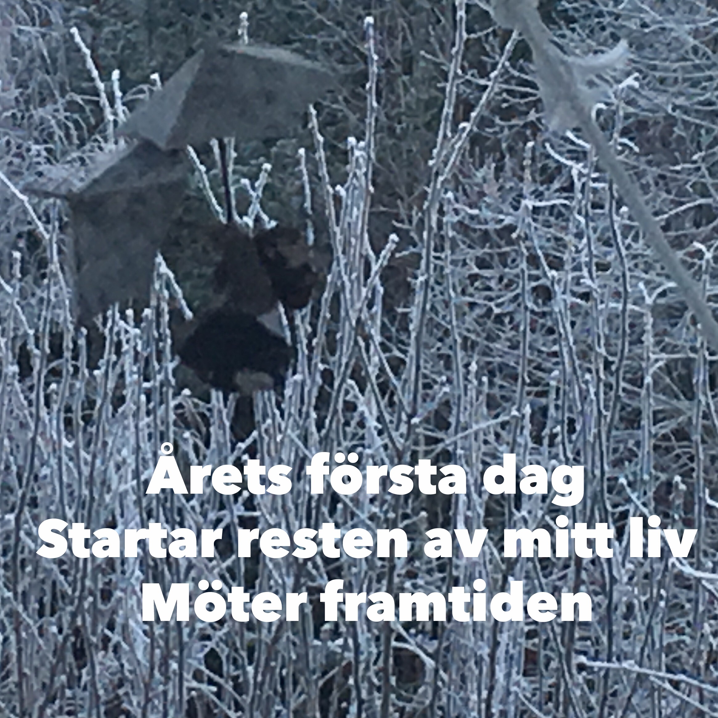 Nytt år