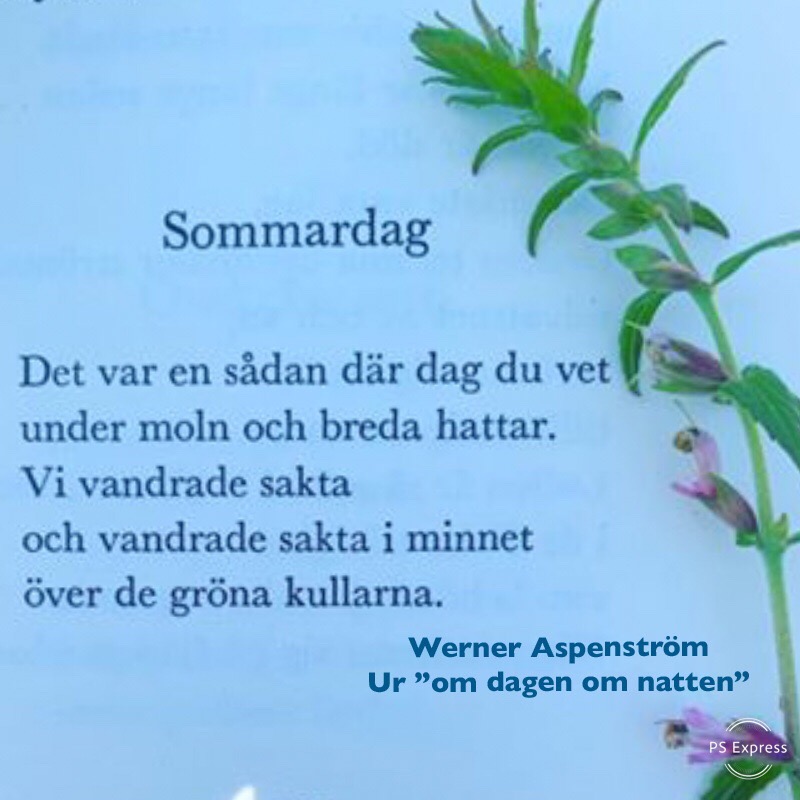 Joel har åkt