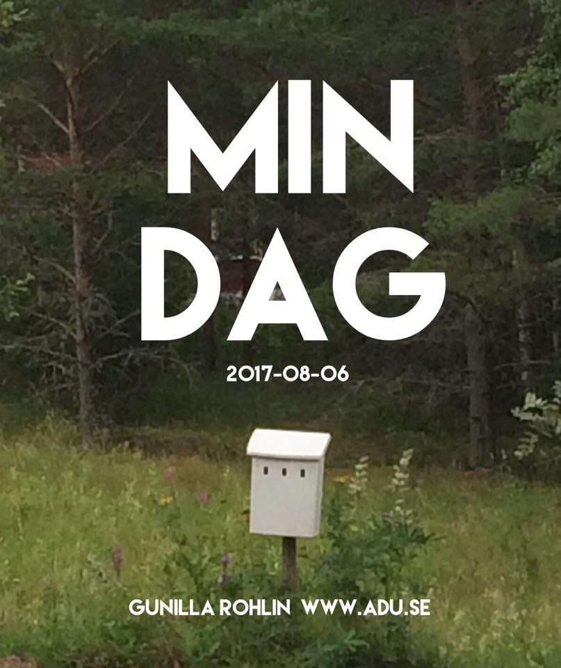 Min dag 2019-08-06