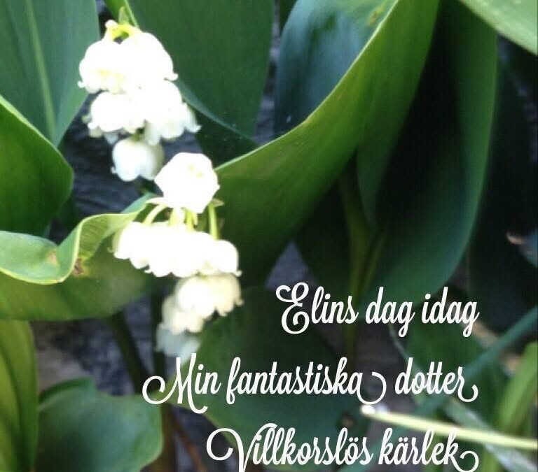 Ingen vanlig dag!