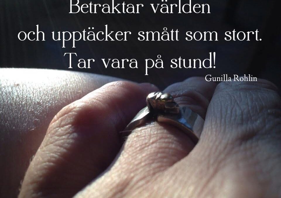 Förberedelser