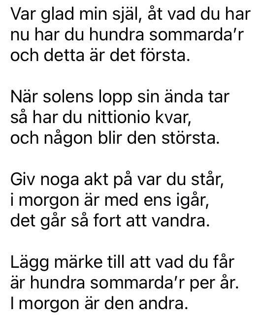 2. Den andra sommardagen