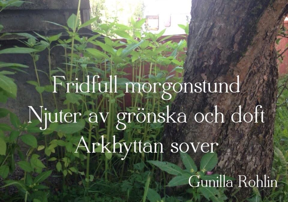Morgontankar