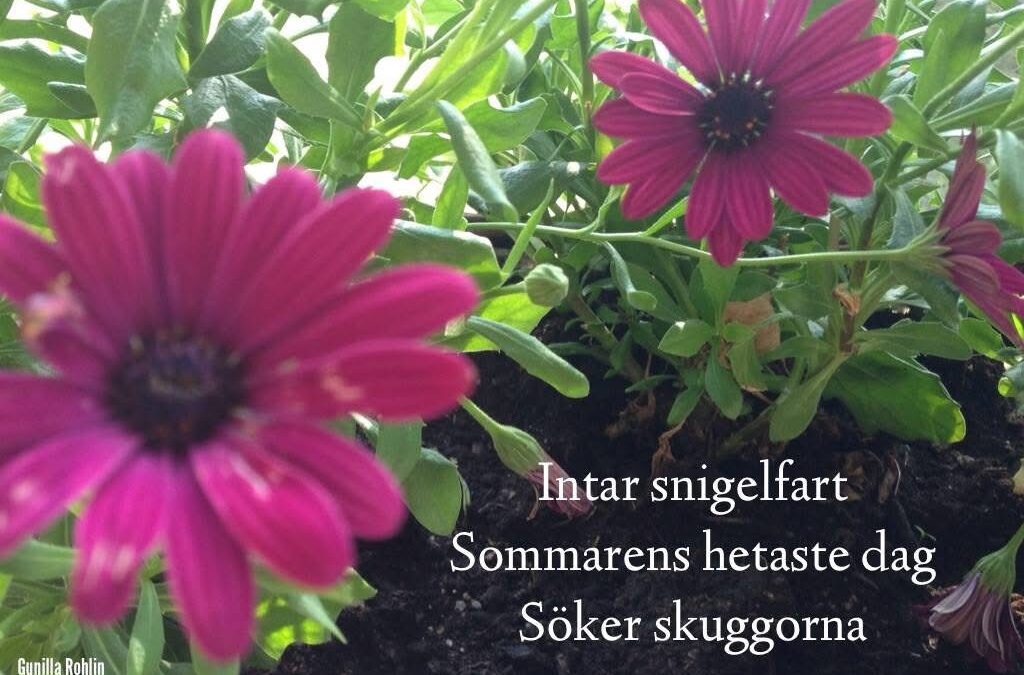 Värme