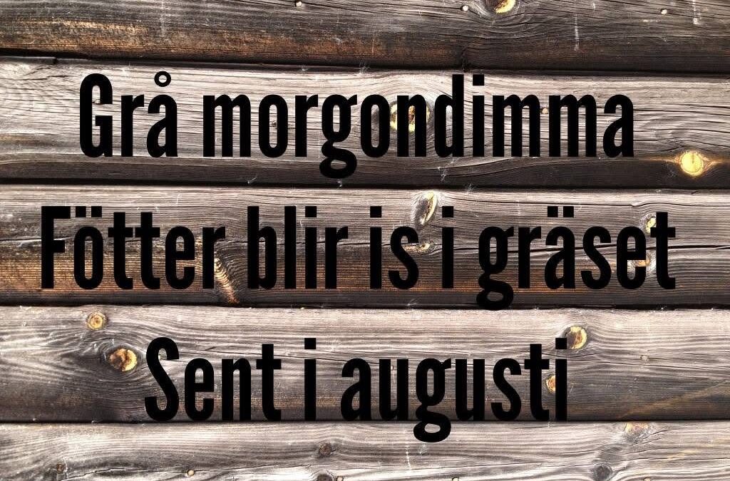 Vart tog augusti vägen?