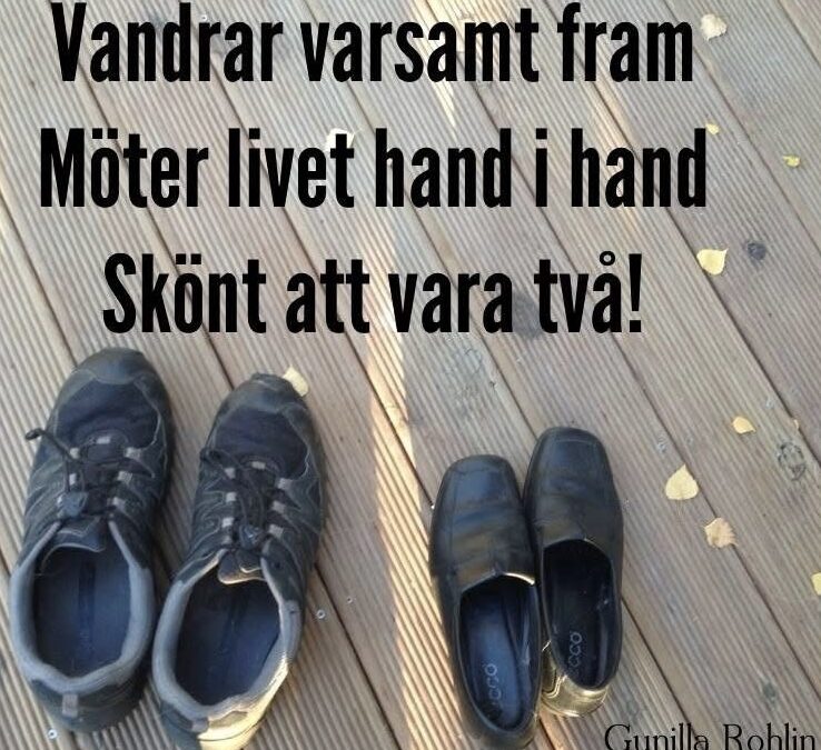 Ovisshet