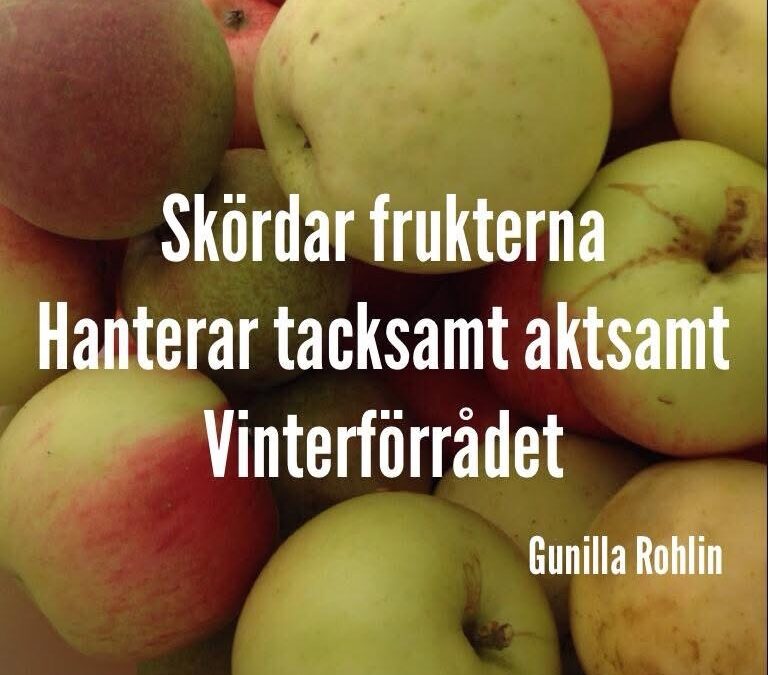 Skördetid