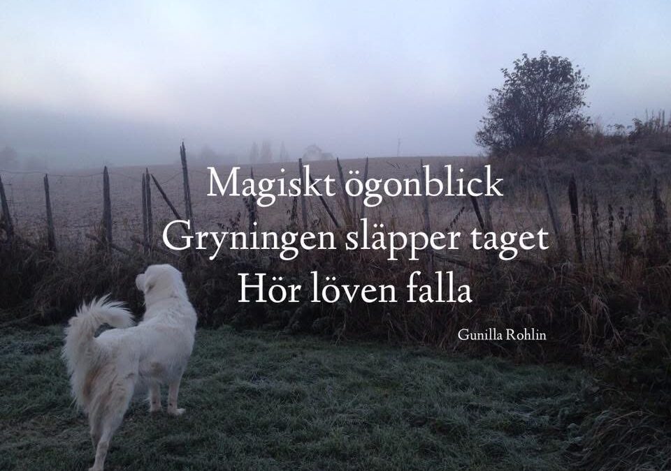 Tänk om…