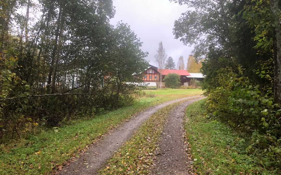 Livet som billös…