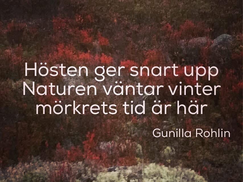 Hepp!