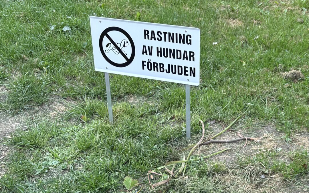 Nationaldag